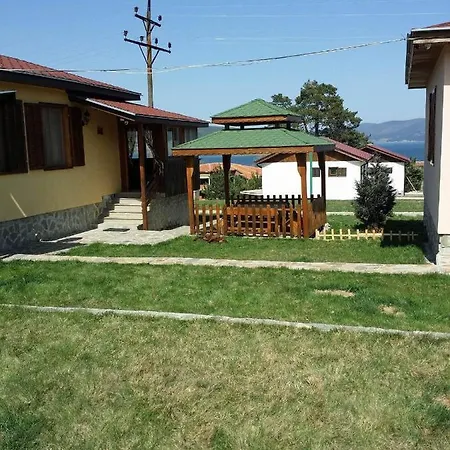 Bobi * Tsigov Chark